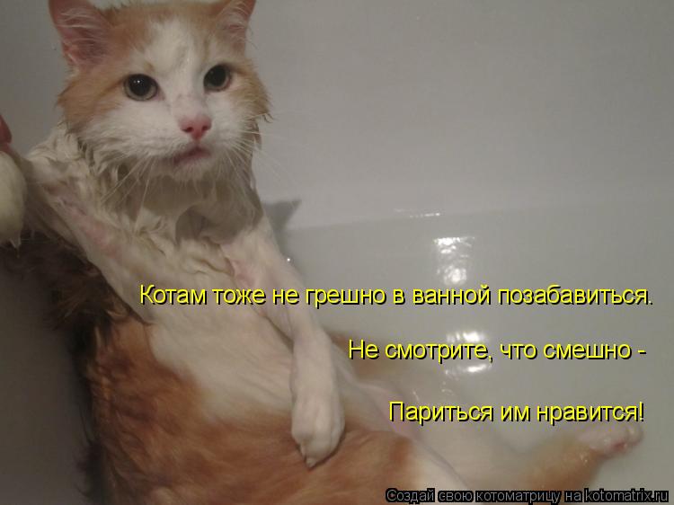 Котоматрица: Котам тоже не грешно в ванной позабавиться. Не смотрите, что смешно -  Париться им нравится!