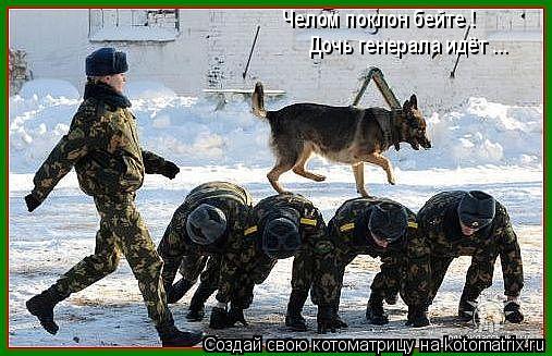 Котоматрица: Челом поклон бейте ! Дочь генерала идёт ...