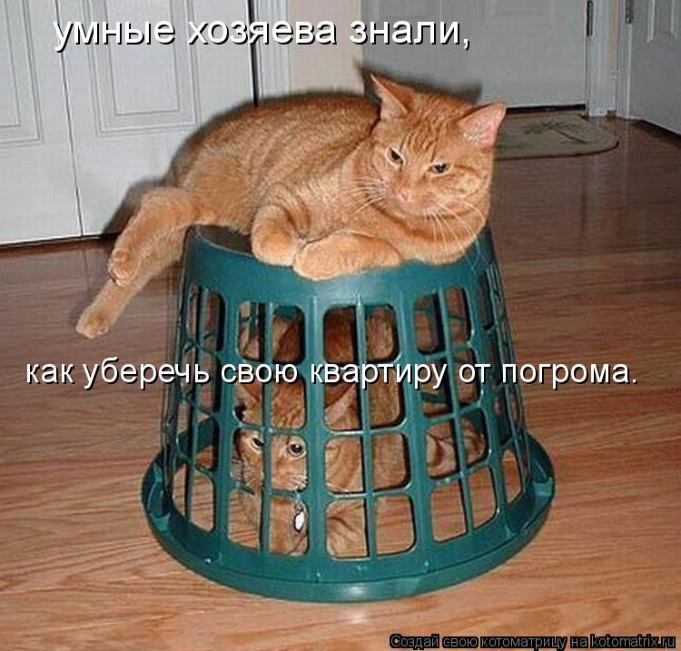 Котоматрица: умные хозяева знали,  как уберечь свою квартиру от погрома.