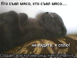 Котоматрица: Кто съел мясо, кто съел мясо.... не видите, я сплю!