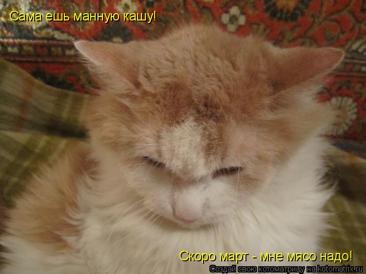 Котоматрица: Сама ешь манную кашу! Скоро март - мне мясо надо!