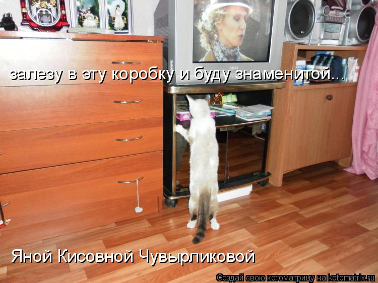 Котоматрица: залезу в эту коробку и буду знаменитой... Яной Кисовной Чувырликовой