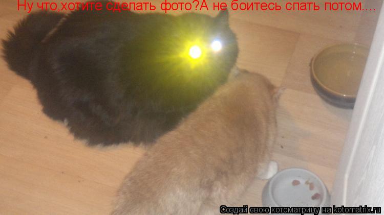 Котоматрица: Ну что,хотите сделать фото?А не боитесь спать потом....