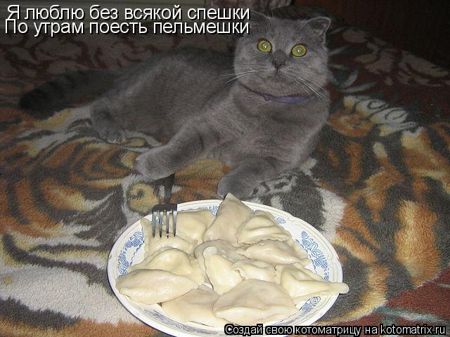 Котоматрица: Я люблю без всякой спешки По утрам поесть пельмешки