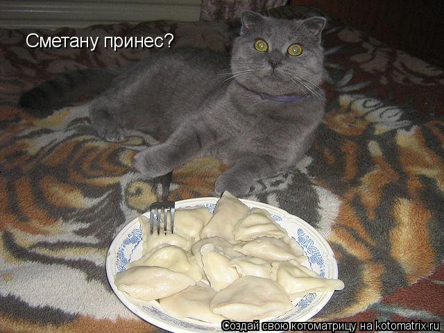 Котоматрица: Сметану принес?
