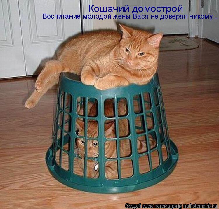 Котоматрица: Кошачий домострой Воспитание молодой жены Вася не доверял никому...