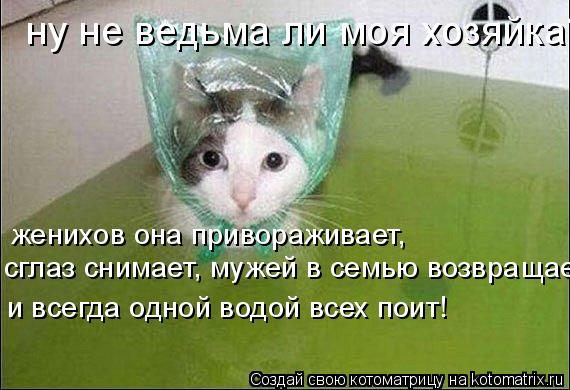 Котоматрица: ну не ведьма ли моя хозяйка? женихов она привораживает, сглаз снимает, мужей в семью возвращает,  и всегда одной водой всех поит!