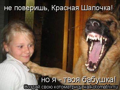 Котоматрица: не поверишь, Красная Шапочка! но я - твоя бабушка!