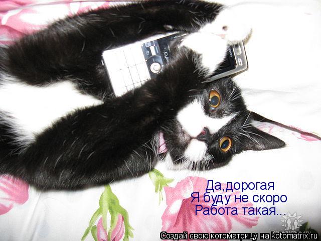 Котоматрица: Да,дорогая Я буду не скоро Работа такая...