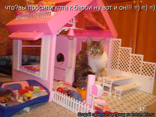 Котоматрица: что?вы просили кота к барби ну вот и он!!! =) =) =)