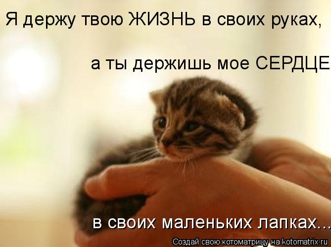 Я держу жизнь в своих руках Я держу жизнь в своих руках