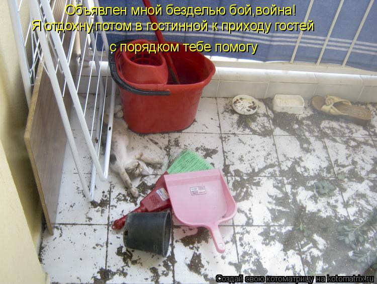 Котоматрица: Объявлен мной безделью бой,война! Я отдохну,потом в гостинной к приходу гостей с порядком тебе помогу