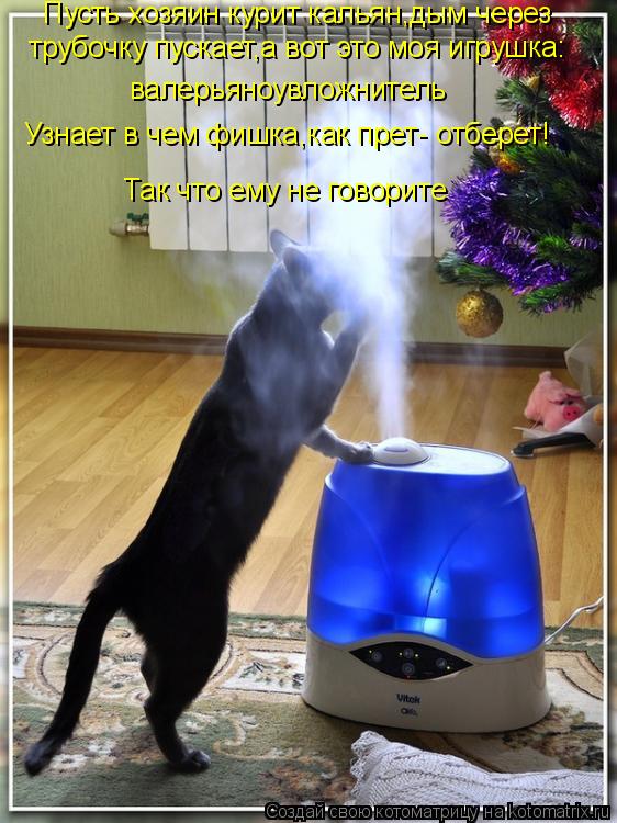 Котоматрица: Пусть хозяин курит кальян,дым через трубочку пускает,а вот это моя игрушка: валерьяноувложнитель Узнает в чем фишка,как прет- отберет! Так ч