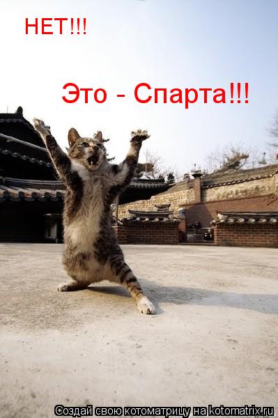 Котоматрица: НЕТ!!! Это - Спарта!!!