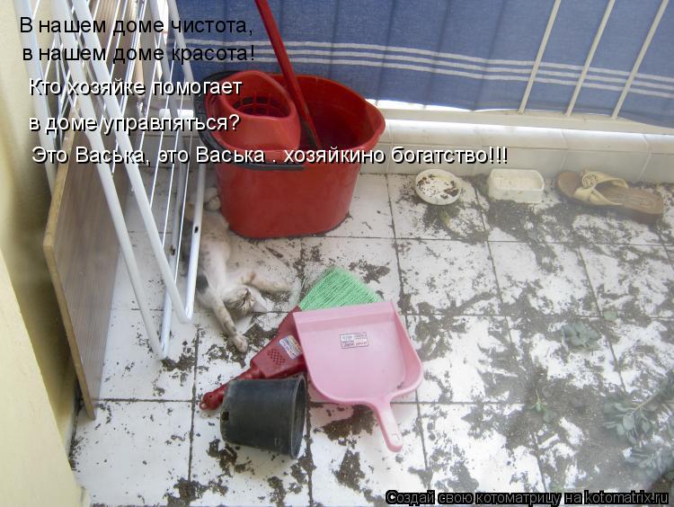 Котоматрица: В нашем доме чистота,  в нашем доме красота! Кто хозяйке помогает  в доме управляться?  Это Васька, это Васька – хозяйкино богатство!!!