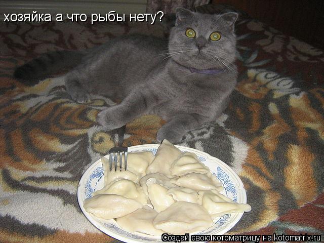 Котоматрица: хозяйка а что рыбы нету?