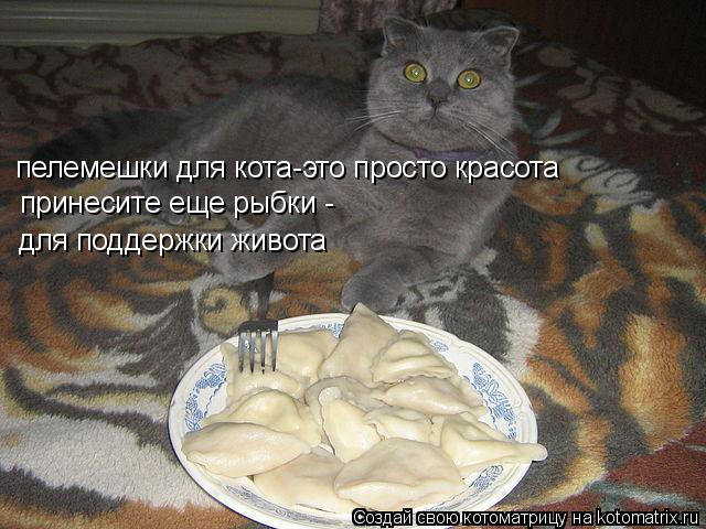 Котоматрица: пелемешки для кота-это просто красота принесите еще рыбки -  для поддержки живота