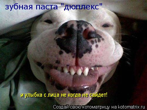 Котоматрица: зубная паста "дюплекс" и улыбка с лица не когда не сайдет!