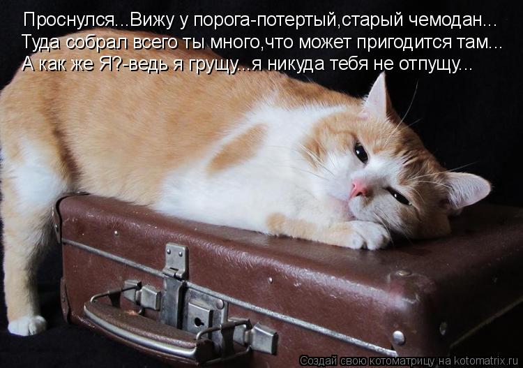 Проснулся...Вижу у порога-потертый,старый чемодан... Туда собрал всего ты много,что может пригодится ... Котоматрица: Проснулся...Вижу у порога-потертый,старый чемодан... Туда собрал всего ты много,что может пригодится там... А как же Я?-ведь я грущу...я никуда т