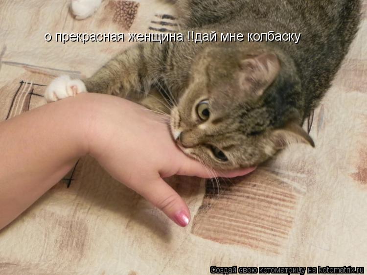 Котоматрица: о прекрасная женщина !!дай мне колбаску
