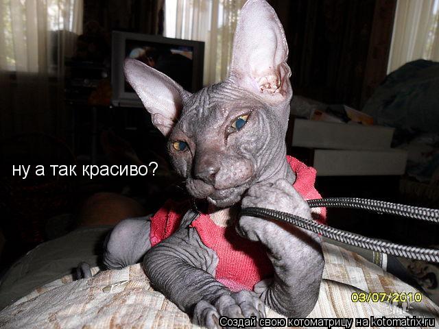 Котоматрица: ну а так красиво?