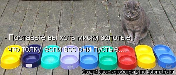 Котоматрица: - Поставьте вы хоть миски золотые,  что толку, если все они пустые....