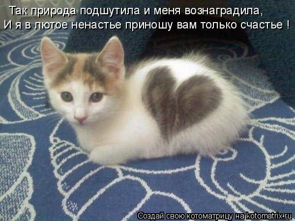 Котоматрица: Так природа подшутила и меня вознаградила, И я в лютое ненастье приношу вам только счастье !