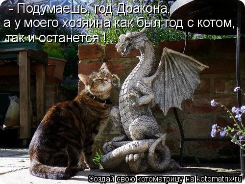 Котоматрица: - Подумаешь, год Дракона, а у моего хозяина как был год с котом, так и останется !...