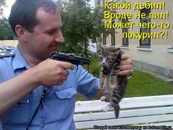 Котоматрица: Вроде не пил! - Какой дебил! Может чего-то покурил?!