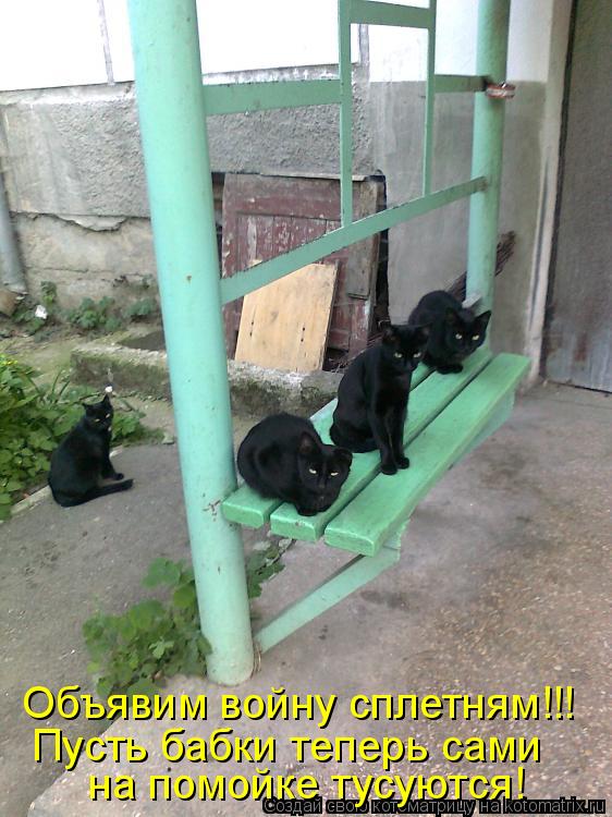 Котоматрица: Объявим войну сплетням!!! Пусть бабки теперь сами на помойке тусуются!
