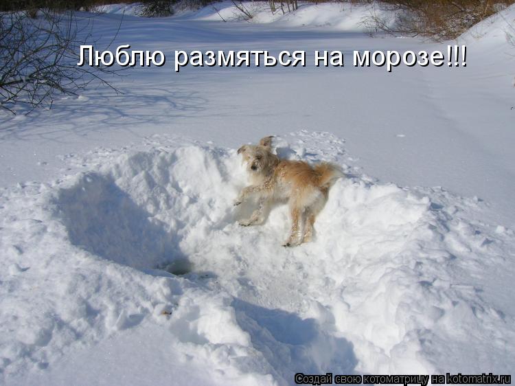 Котоматрица: Люблю размяться на морозе!!!