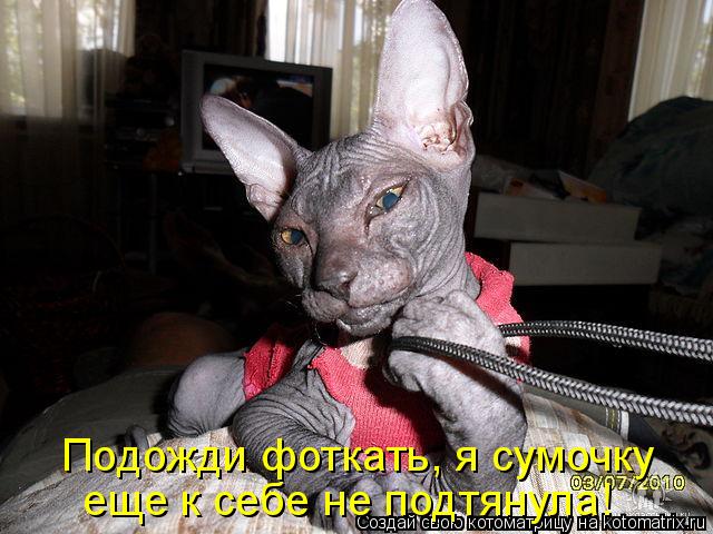 Котоматрица: Подожди фоткать, я сумочку  еще к себе не подтянула!