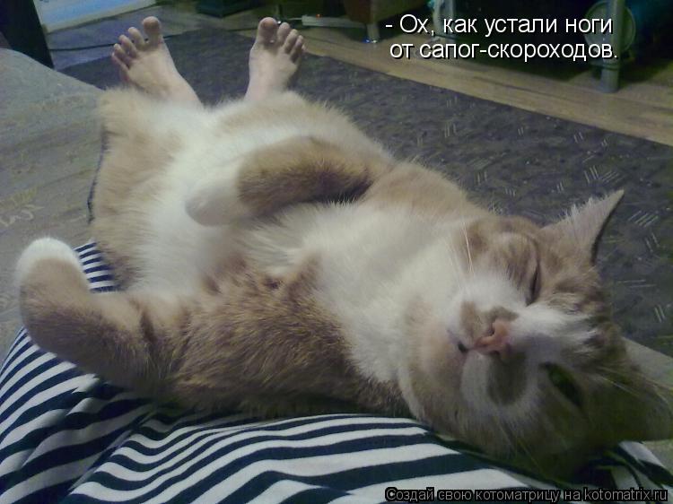 Котоматрица: - Ох, как устали ноги  от сапог-скороходов.