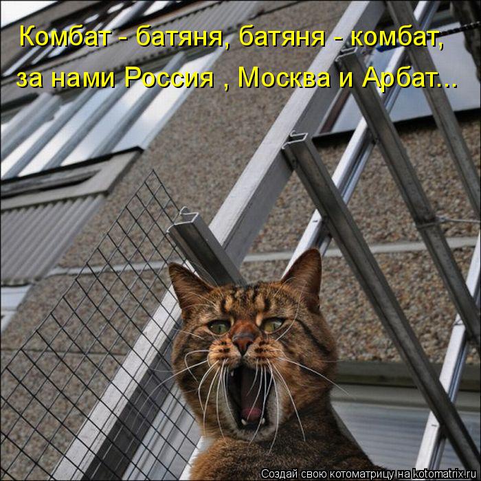 Котоматрица: за нами Россия , Москва и Арбат... Комбат - батяня, батяня - комбат,