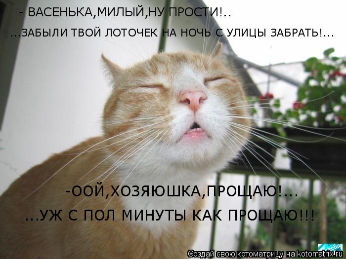 Котоматрица: - ВАСЕНЬКА,МИЛЫЙ,НУ ПРОСТИ!..  ...ЗАБЫЛИ ТВОЙ ЛОТОЧЕК НА НОЧЬ С УЛИЦЫ ЗАБРАТЬ!...  -ООЙ,ХОЗЯЮШКА,ПРОЩАЮ!... ...УЖ С ПОЛ МИНУТЫ КАК ПРОЩАЮ!!!