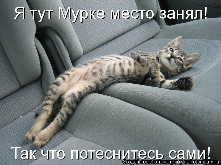 Котоматрица: Я тут Мурке место занял! Так что потеснитесь сами!