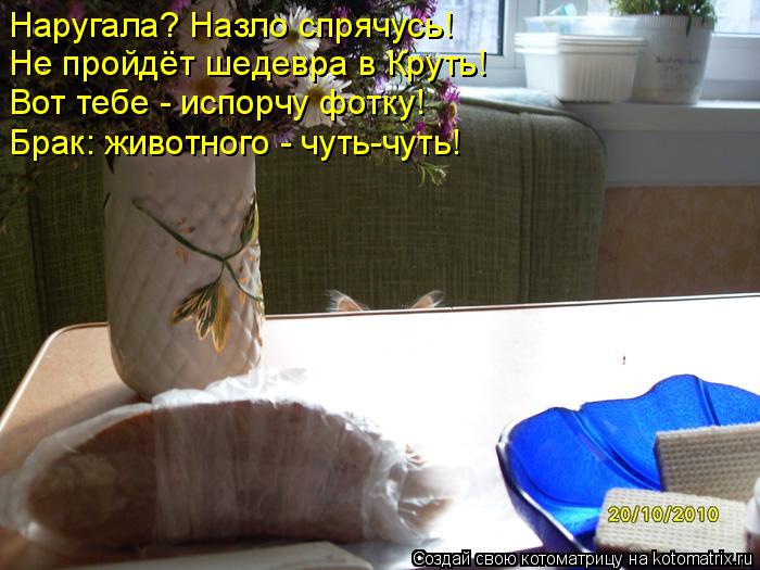 Наругала? Назло спрячусь! Не пройдёт шедевра в Круть! Вот тебе - испорчу фотку! Брак: животного - чут... Котоматрица: Наругала? Назло спрячусь! Не пройдёт шедевра в Круть! Вот тебе - испорчу фотку! Брак: животного - чуть-чуть!