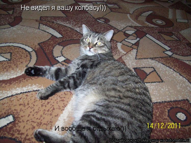 Не видел я вашу колбасу!)) И вообще я отдыхаю!))... Котоматрица: Не видел я вашу колбасу!)) И вообще я отдыхаю!))