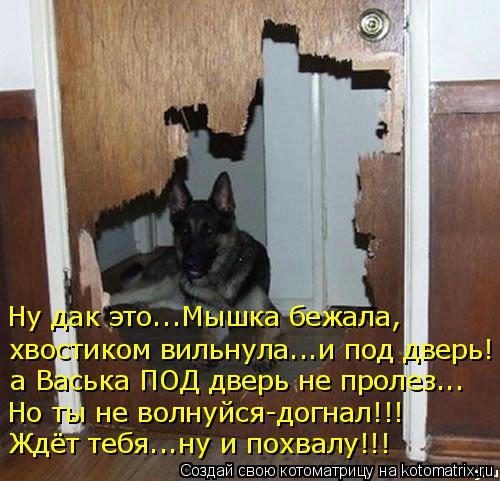 Ну дак это...Мышка бежала, хвостиком вильнула...и под дверь! а Васька ПОД дверь не пролез... Но ты не... Котоматрица: Ну дак это...Мышка бежала, хвостиком вильнула...и под дверь! а Васька ПОД дверь не пролез... Но ты не волнуйся-догнал!!! Ждёт тебя...ну и похвалу!!!
