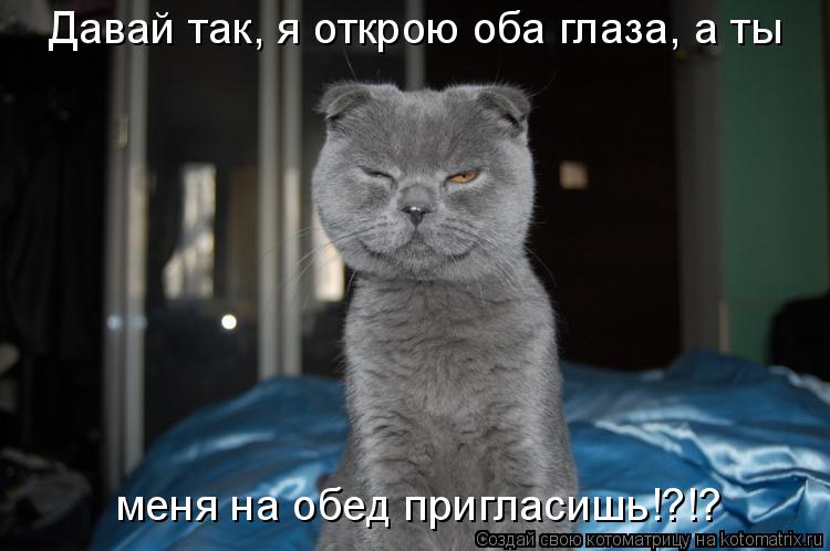 Котоматрица: Давай так, я открою оба глаза, а ты меня на обед пригласишь!?!?