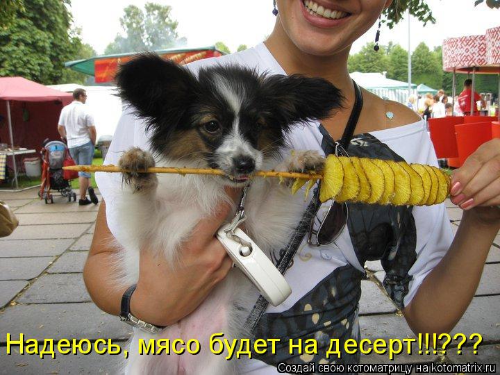 Котоматрица: Надеюсь, мясо будет на десерт!!!???