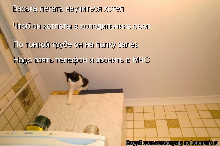 Котоматрица: Васька летать научиться хотел Чтоб он котлеты в холодильнике съел По тонкой трубе он на полку залез Надо взять телефон и звонить в МЧС