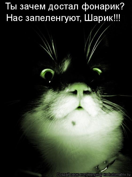Котоматрица: Ты зачем достал фонарик? Нас запеленгуют, Шарик!!!