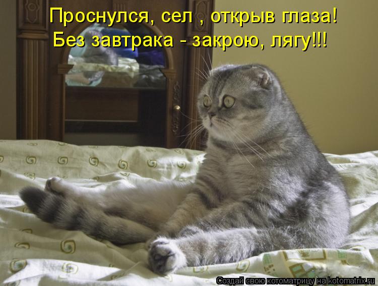 Котоматрица: Проснулся, сел , открыв глаза! Без завтрака - закрою, лягу!!!