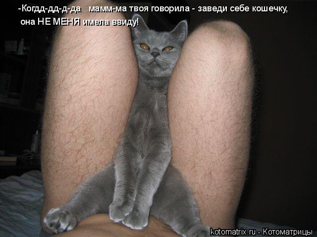 Котоматрица: -Когдд-дд-д-да   мамм-ма твоя говорила - заведи себе кошечку,  она НЕ МЕНЯ имела ввиду!