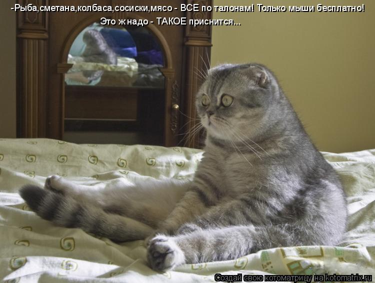 Котоматрица: -Рыба,сметана,колбаса,сосиски,мясо - ВСЕ по талонам! Только мыши бесплатно! Это ж надо - ТАКОЕ приснится...