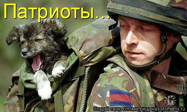 Котоматрица: Патриоты...