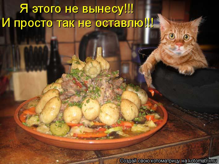 Котоматрица: И просто так не оставлю!!! Я этого не вынесу!!!