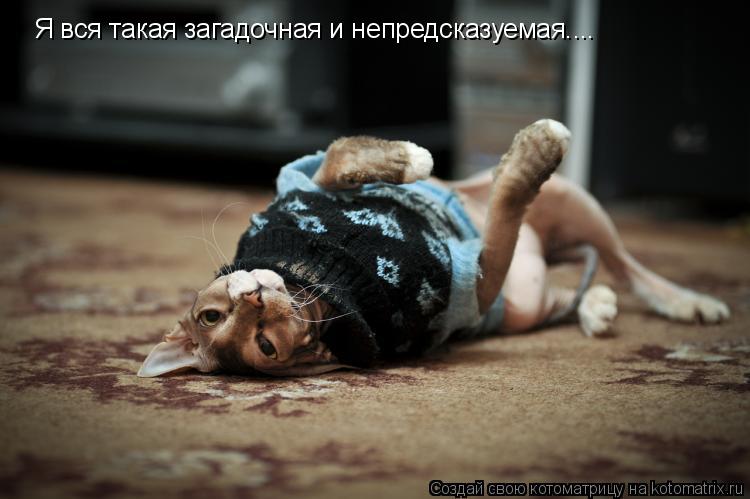 Я вся такая загадочная и непредсказуемая....... Котоматрица: Я вся такая загадочная и непредсказуемая....
