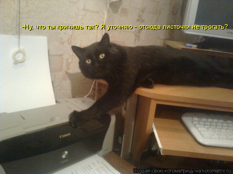Котоматрица: -Ну, что ты кричишь так? Я уточняю - отсюда листочки не трогать?